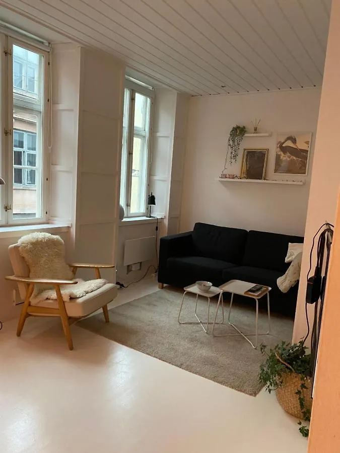 Apartamento Ultra Central Location Copenhaga Dinamarca